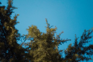 B152984B-595F-481E-82D6-0D67B176C80C/L0/001