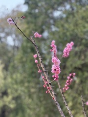 AE54E944-4CF1-415E-BBF2-8617455CEE90/L0/001