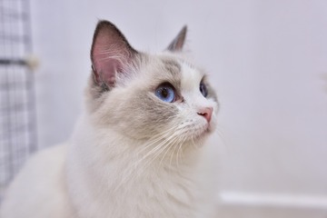 73551