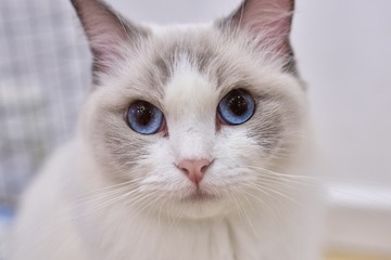 73552
