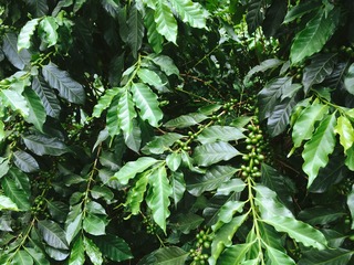 0FFEE68F-E8F9-4554-957A-C79B62ACFB1F/L0/001