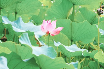 001