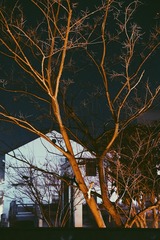 9DD7D4BC-62FD-4D6C-A335-A852C8C2E1FE/L0/001