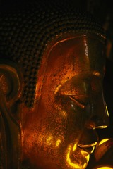19A40542-1A29-4759-B2AD-ADCE5AFAA863/L0/001