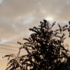 1000002856