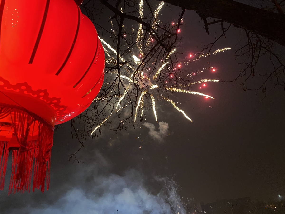 2021元宵节火树银花小区里的赏灯笼观烟花