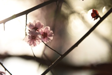 7B61B00F-60A1-4CEB-A018-D39C9F3C6A78/L0/001