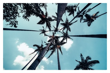 5D020024-F0D1-423F-A6D2-C608A1F66BB4/L0/001
