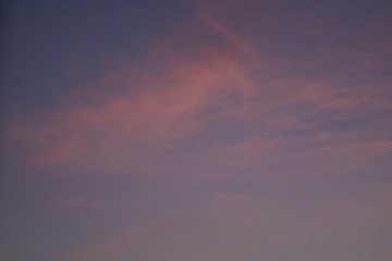 496F15D9-0E27-4D76-BFC8-9D732C4BF720/L0/001