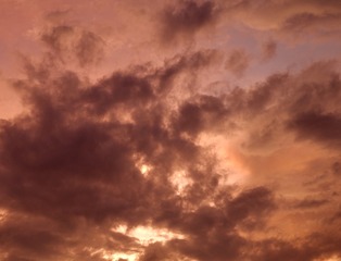 3E4895BB-6334-4893-B3FE-179E592DD4D4/L0/001