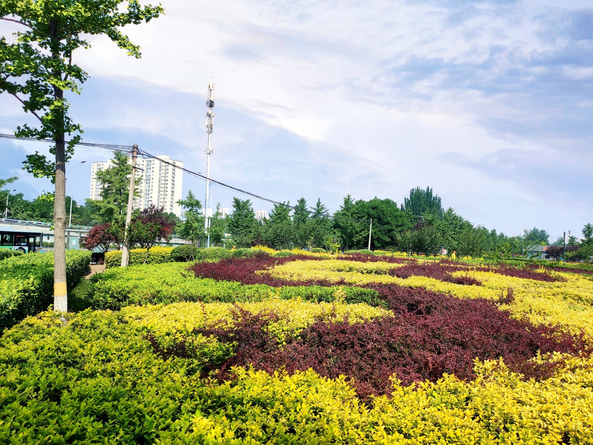 街心花园 - 龙飞凤舞仁寿 - 图虫