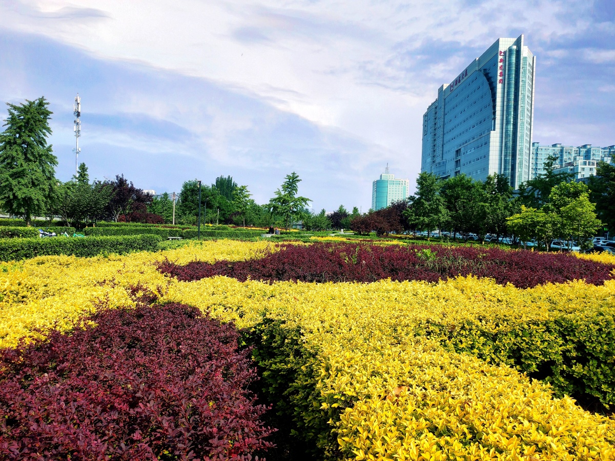 街心花园 - 龙飞凤舞仁寿 - 图虫