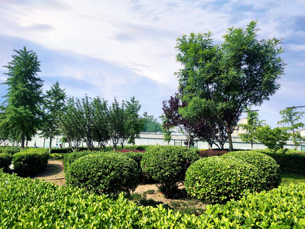 街心花园 - 龙飞凤舞仁寿 - 图虫