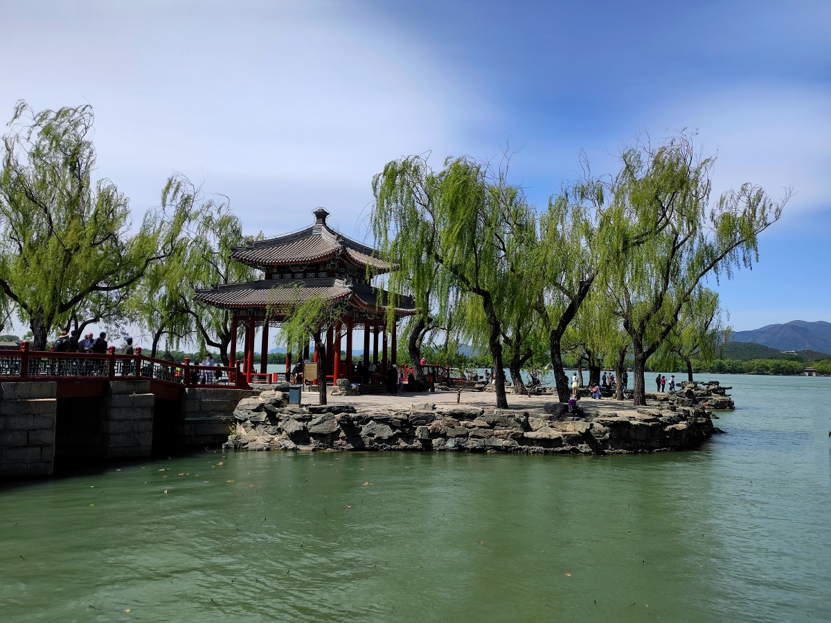 知春亭观景亭畔垂柳是远观全园景物的极佳视角