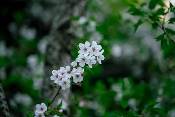 1041771