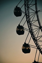 1000084075