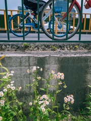 23341FBA-4E11-4B99-B243-99BFC0270911/L0/001