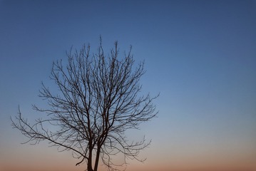 5C3EC030-F9D0-435C-9436-C8C002E1BDA4/L0/001