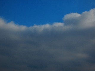 D38E0B35-D2DE-494E-A8B5-5090571442FE/L0/001