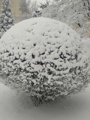 1164534