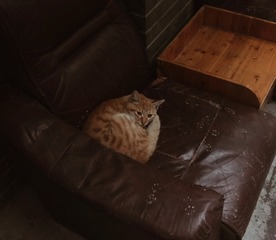 40748