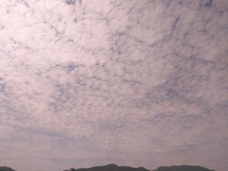 479893