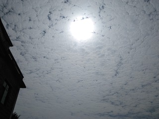 479887