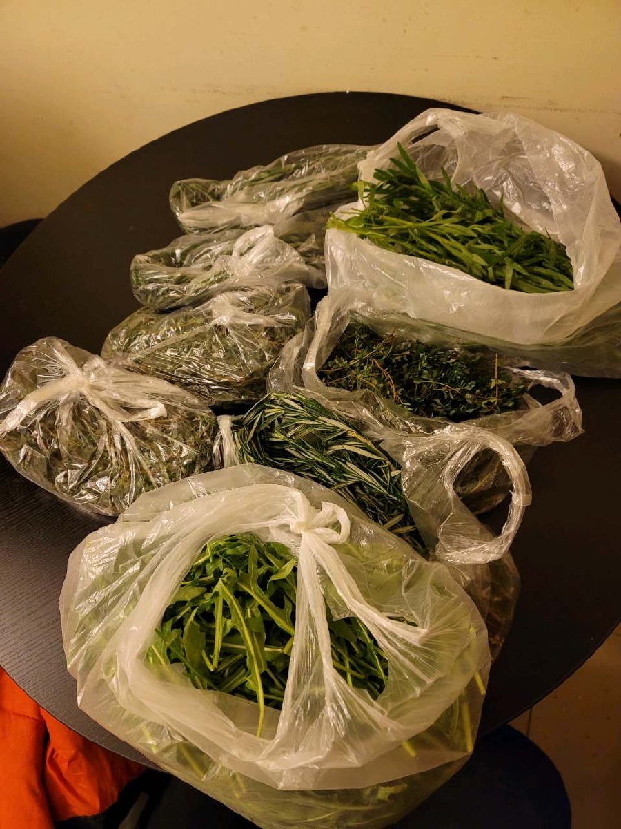 塑料袋,蔬菜,疫情