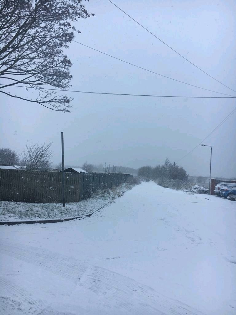 雪花飘飘北风萧萧