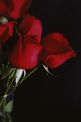 6876F472-B445-42EB-91C6-38E21FD4B18B/L0/001