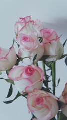 B098BB9A-952A-411C-B8BA-82EEB20F12A8/L0/001
