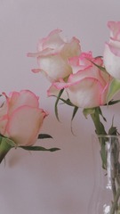 03A85923-D85E-4304-9A8C-2AA92A1F5A9D/L0/001