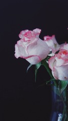0318340E-1687-4FF5-8104-C903C298B5A5/L0/001