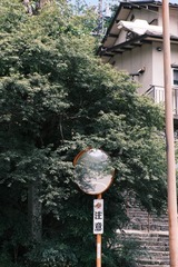 1853C28B-D0FF-4EBA-A484-AE8EA4FB586D/L0/001