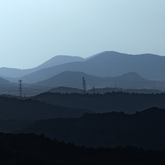 1004794