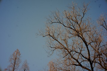 D724C125-B835-47B3-BAEA-CB0413E050E0/L0/001