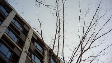 2AE09417-C036-45CF-A418-BA612C996991/L0/001