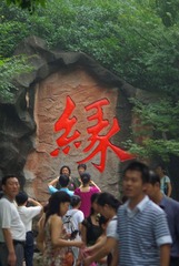 缘