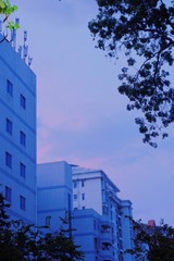 22CCD81E-D00A-44E9-AFDE-6BFCD4D305CF/L0/001