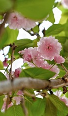 10F7F2AC-62A3-4E91-BF6F-57E080CE055C/L0/001