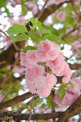 B6C0DD9B-8A3F-4144-B68E-6750B64E38A9/L0/001