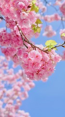 34BB967A-5BC7-42E3-854B-4F4BFEC0F009/L0/001