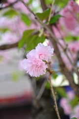 032D11FA-F887-4317-A0CB-BB228421223F/L0/001