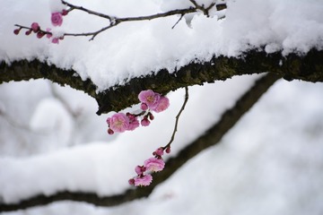 581