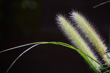 408