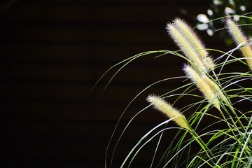405
