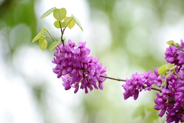 1168