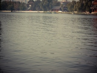 D8D5FCF2-C223-4882-A51D-75FD85F21AE6/L0/001