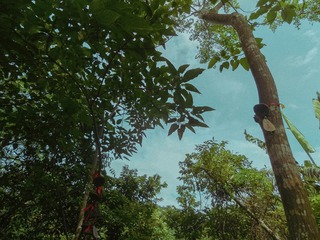 6C9FD70D-C9DE-4444-A374-2F3E16F6B635/L0/001