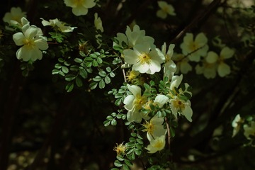 AD08B178-A949-4B4A-9E43-BB0AC87AAD88/L0/001